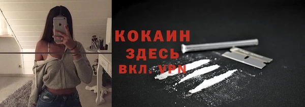 тгк Армянск