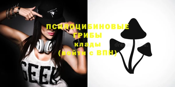a pvp Арсеньев