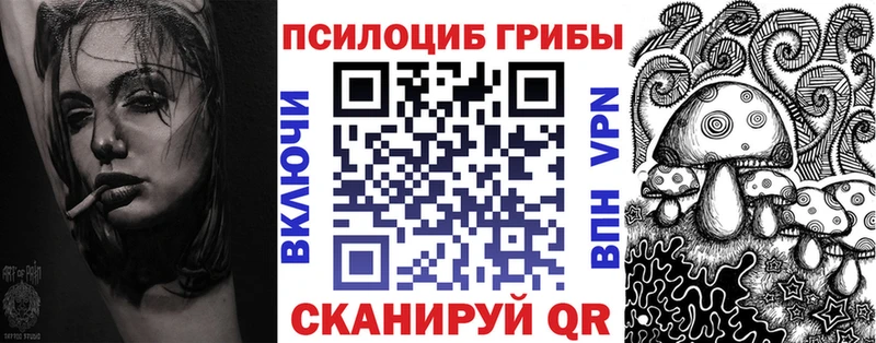 Галлюциногенные грибы ЛСД  наркота  Вилючинск 
